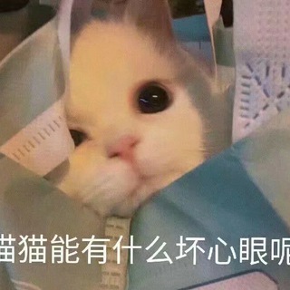 M系资源聚合交流群（非官方）