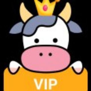 小牛 VIP