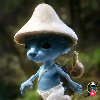 Мод на тт🍄