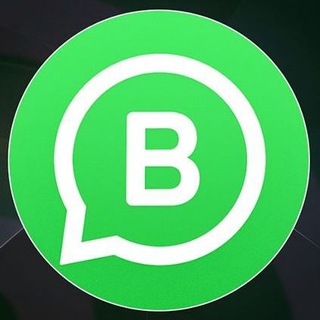 WhatsApp Business Mod APK | WhatsApp Business Plus LiteX | Safe Apk