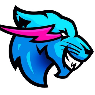 Mr. Beast Gaming