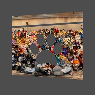 Eventos Furry de Mexico 2024