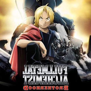 FULL METAL ALCHIMIST BROTHERHOOD