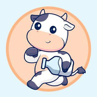 BTFD_BULLRUN