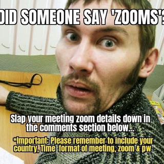 Zoom Raiders Channel [ZR]