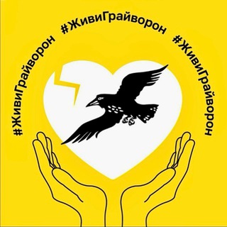 Грайворон 💛