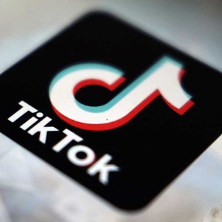 TikTok Checker from LZT