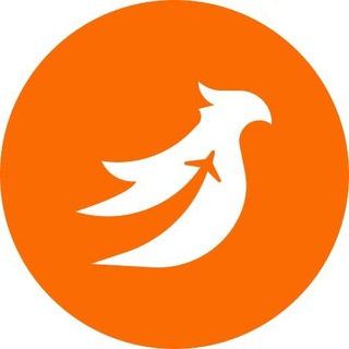 Phoenix Pass | eSIM, бизнес-залы и Fast Track