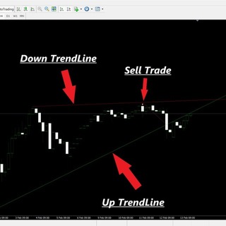 TrendLineEA.com Mirror Trading Community