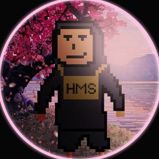 HackMySoftware
