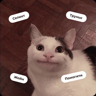 LEARN * FROM SQL