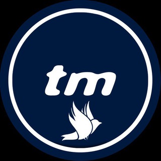 Transfermarkt Official ✔