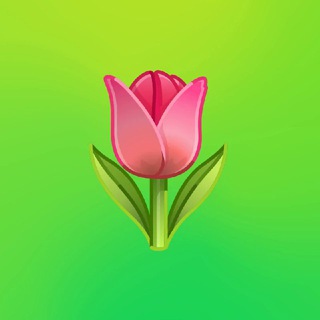 超稳定的vpn节点| 免费VPN