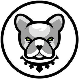Pitbull Token Official ✔