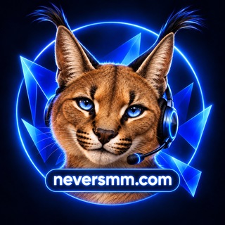 NeverSMM • Каракал на связи 🐾