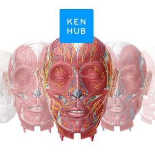 Human Anatomy Exam Prep by Kenhub