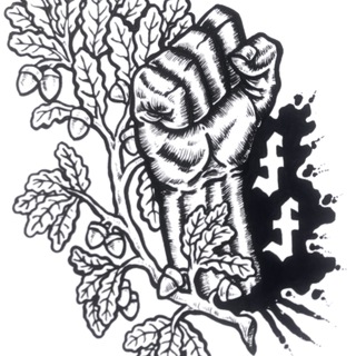 Forest Fights USA