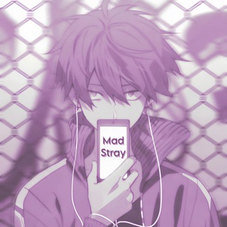 MadStray CS MOBILE