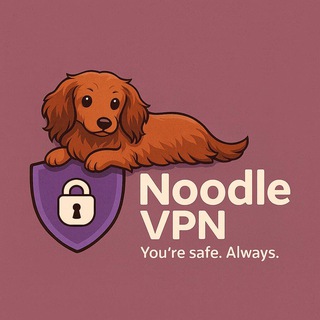 Noodle VPN | Updates