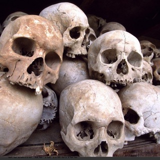 Forensic Anthropology / Bones / Trannies / Tranvestigation / Worldwide Deception