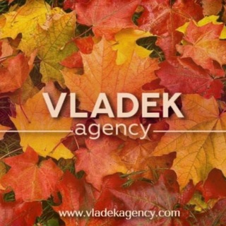 Svetlana Vladek “Vladek Agency”