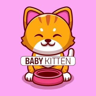 BABY KITTEN OFFICIAL