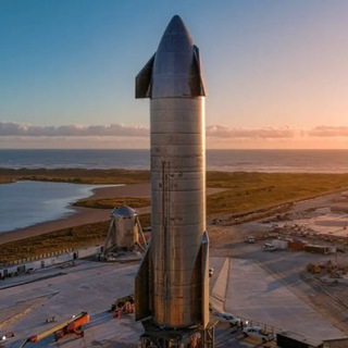 Elon Musk Official
