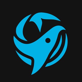 Что говорят киты? 🐋