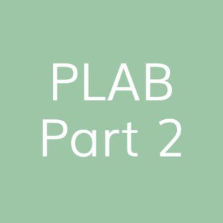 Plab 2 Everything