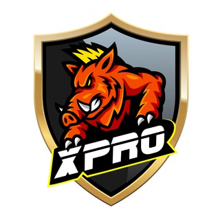 xProChanger