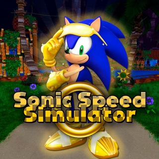 Sonic Speed Simulator