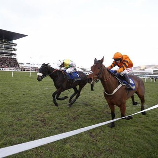OTTR Horse Racing