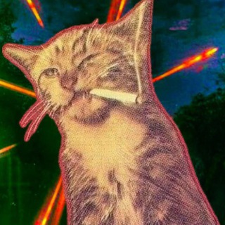 чат общения