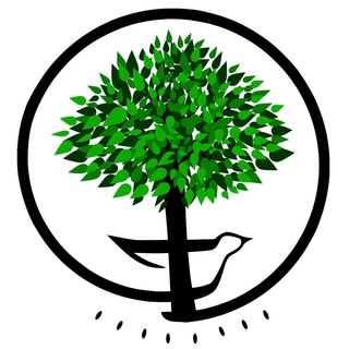 The LGI Channel