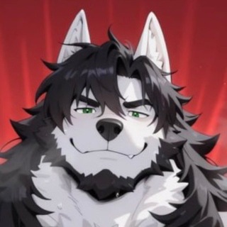 Raygar Wolf Channel