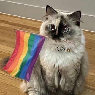 Знакомства Uzbekistan🏳️‍🌈