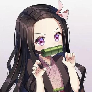 Policr Mini (控制台版)