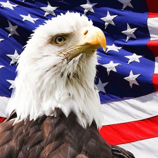 US Patriots